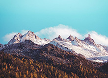 九游：让游戏不再难以选择的全方位体验平台